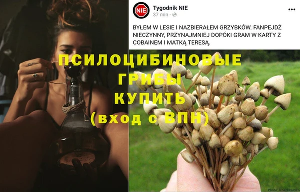 метамфетамин Богданович