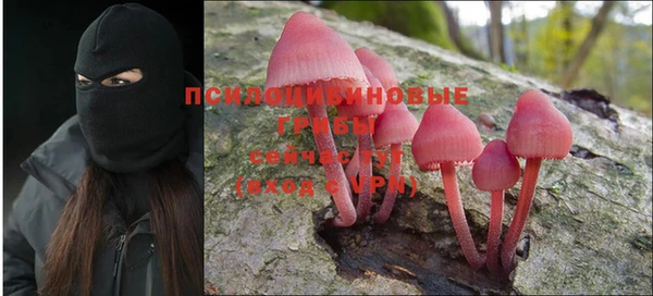 твердый Богородск