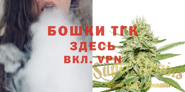 твердый Богородск