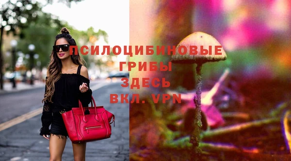 скорость Богородицк
