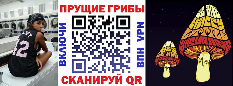 Псилоцибиновые грибы прущие грибы  Купить закладки  Верхнеуральск 